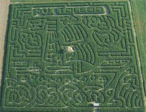 Corn Maze Design Kit